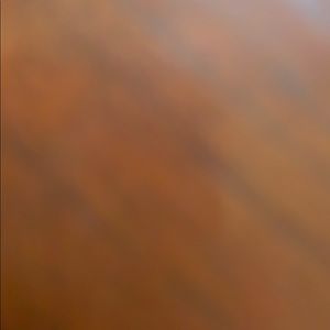 Meet your Posher, Daisy